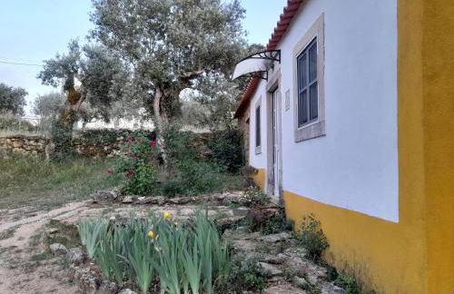 Casa dos Terranhos - Foto 12