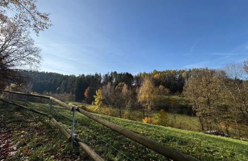 Apartment im Wald - mit Schwimmbad! - Foto 54