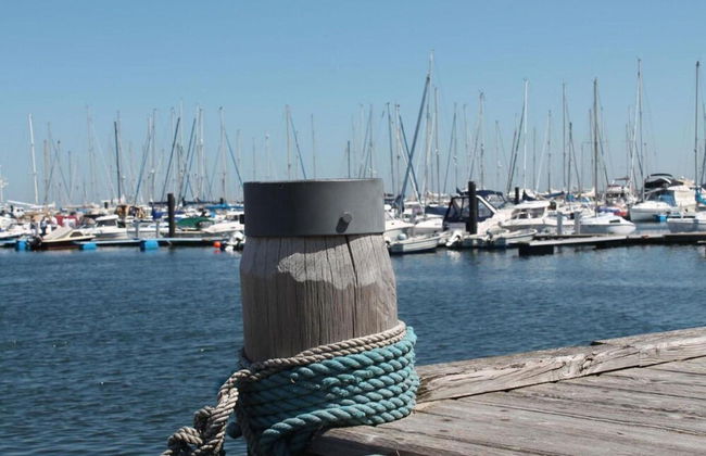 Ferienwohnung in Steffenshagen mit Garten - Foto 40