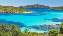 Rose e fiori - Foto 2