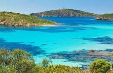 Rose e fiori - Foto 2