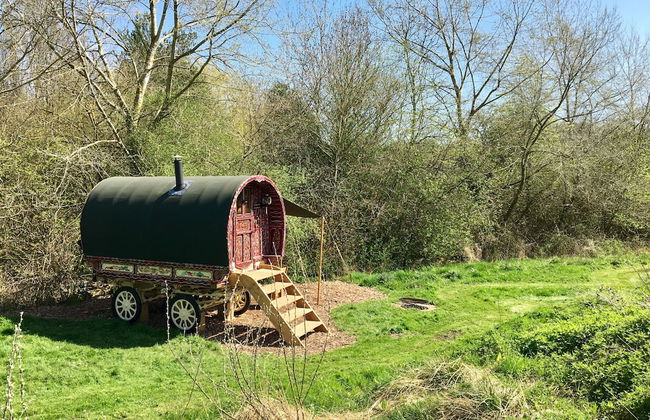 Cotswolds Camping at Holycombe - Foto 8