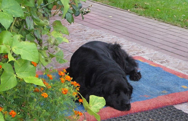 Villa in Krag Near Knight's Castle - Photo 22