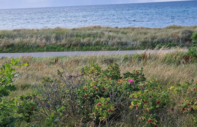 10 Person Holiday Home in Allingabro-by Traum - Foto 27