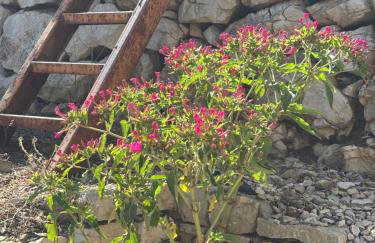 Stiniva beach house - Foto 56