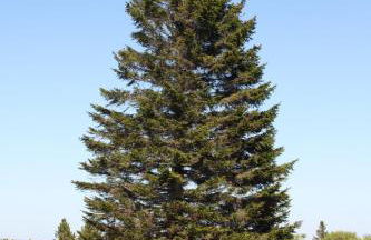 Ferienwohnung Zum Heideblick - Photo 33