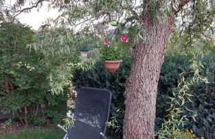 Wohnung in Selbitz - Foto 25