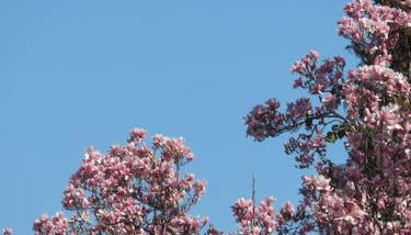 La tua casa tra Milano e Como - Foto 3