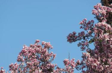 La tua casa tra Milano e Como - Foto 3