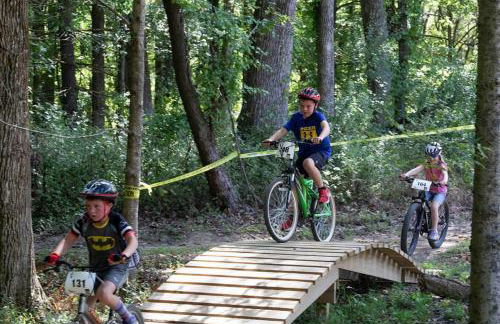 Luxury Log Cabin w Beach & Dock Sleeps 12 - Photo 58