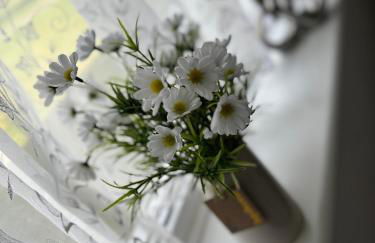 Tranquility at Sandown Bay - Photo 14