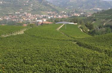 Agriturismo Ai Piacentini - Photo 11