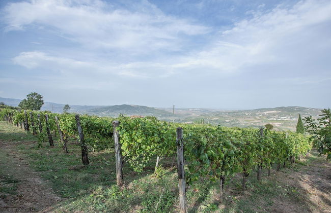 Villa Ada - Sannio - Foto 25