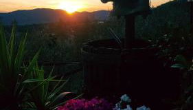 Agriturismo La Casuccia - Foto 3