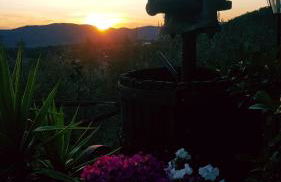 Agriturismo La Casuccia - Foto 3