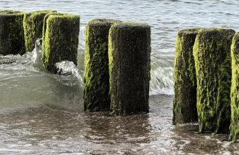 Apartamenty Nadmorskie lofty - Foto 28