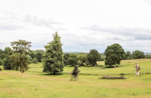 Cook's Flat - Foto 30