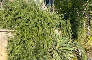 Garden Apartment - Foto 2