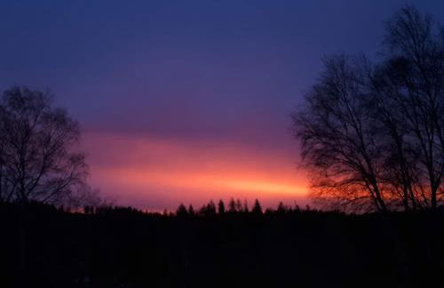 Behagliches Ferienhaus Zaunkönig -mit Kamin und Sauna- Blick über das romantische Bodetal - Foto 18