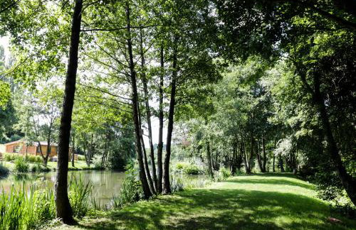 Kingfisher - Foto 21