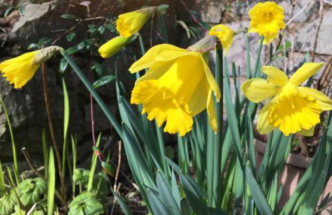 Heron's View - Photo 20