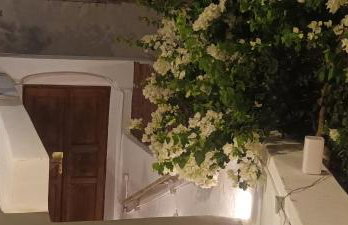 Constantis Mansion - Foto 6