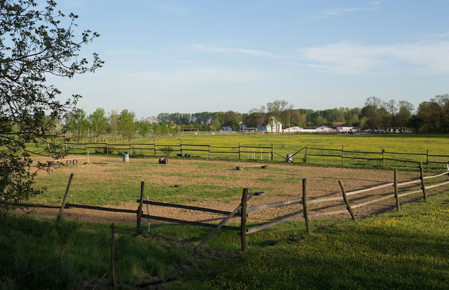 Zoopark Zelčín - Foto 31