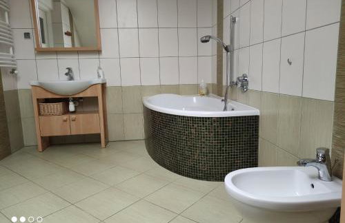 Apartament Panorama - Foto 11