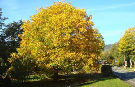 Haus am Teutoburgerwald - Foto 13