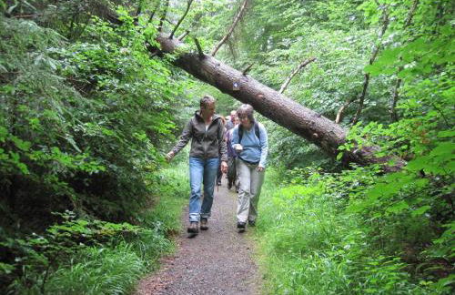 Ferienhaus Rudi - Foto 20