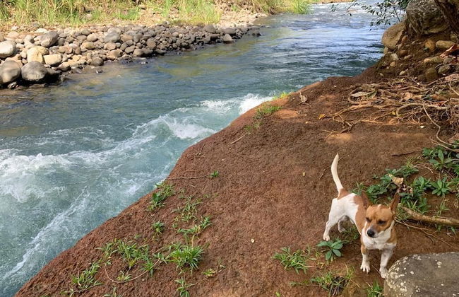 TIPS Vacation - Foto 48