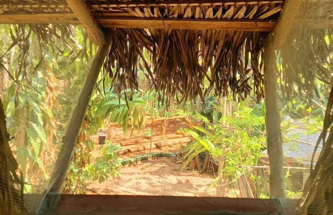 Pousada Pouso das Araras - Foto 21