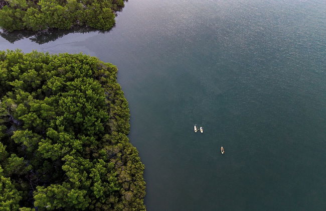 Villa Kandui Boutique Hotel - Photo 51