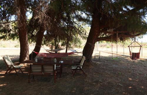 The Beach House - Foto 25