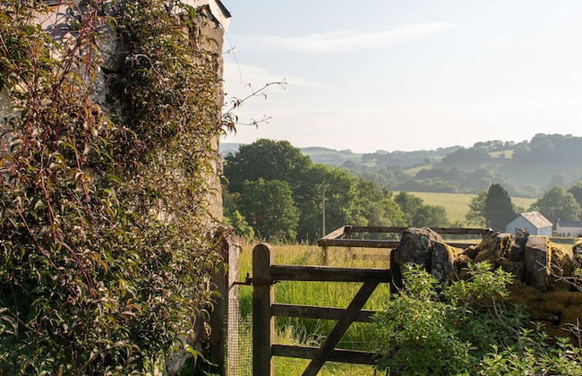 Alltybrain Farm Cottages and B&B - Foto 78