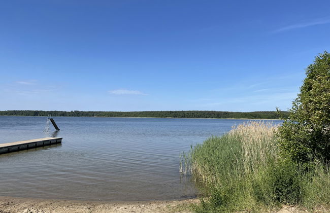 Wald und See - Foto 22