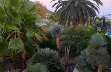 Monica's Tropical Villa - Foto 55