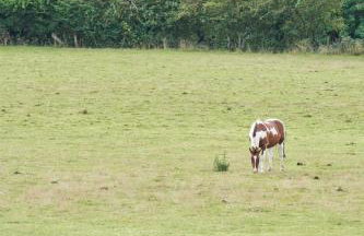 Farm stay close to Shakespeare's Stratford-upon-Avon - Photo 17