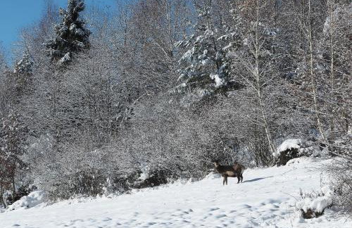 HillOut - Domek w Milówce - Workation - Praca zdalna - Foto 49