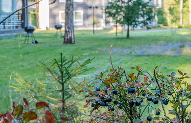 Saimaa Life & Light - Foto 71