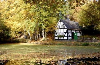 Blick ins Grüne - Foto 15