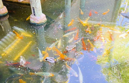 Oceanside Beach Condos - Foto 90