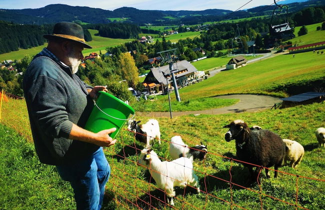 Chalet in Gaal by Ski Slopes & Alpine Park - Foto 30