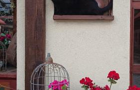 Ostoja Kamionki - Foto 12