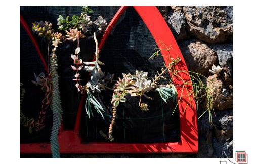 Casa do Zé II AL - Photo 147