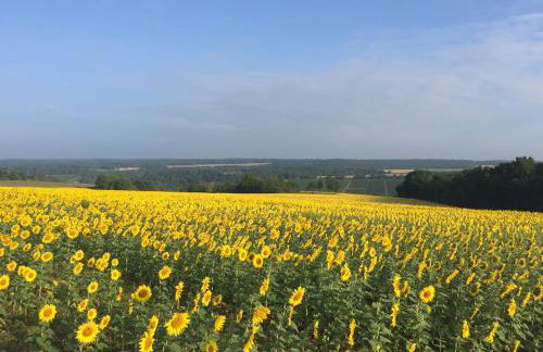Gîte champenois les voisins - Foto 3