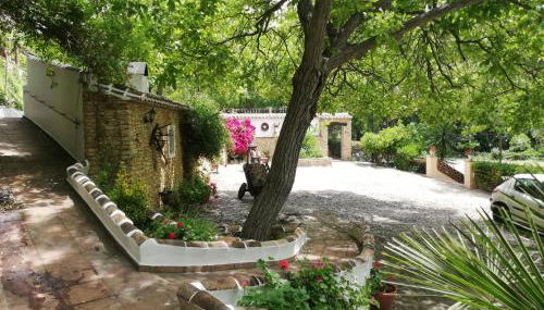 El Huertecillo - Foto 4