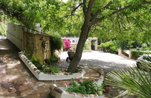 El Huertecillo - Foto 4