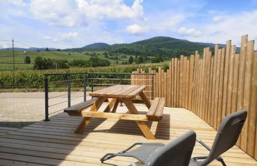 Cocon de caractère au cœur des vignes Alsaciennes - Foto 2