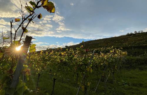 Apartment am Weinberg by Interhome - Foto 15